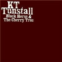 Black Horse & the Cherry Tree封面