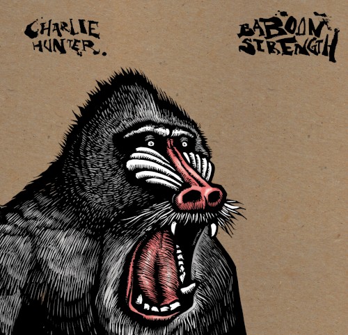 Baboon Strength封面