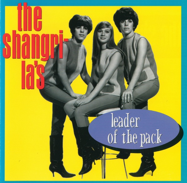 Leader of the Pack封面