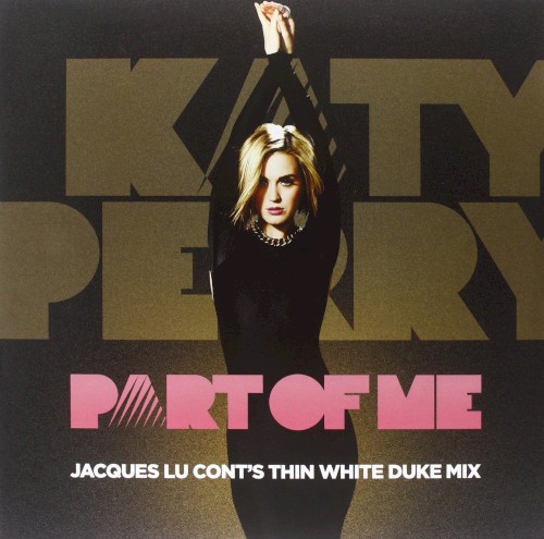 Part of Me (Jacques Lu Cont’s Thin White Duke mix)封面