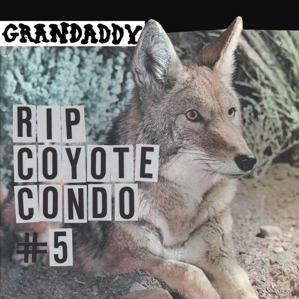 RIP Coyote Condo #5封面