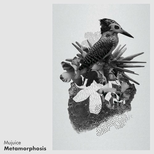Metamorphosis封面