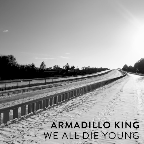 We All Die Young封面