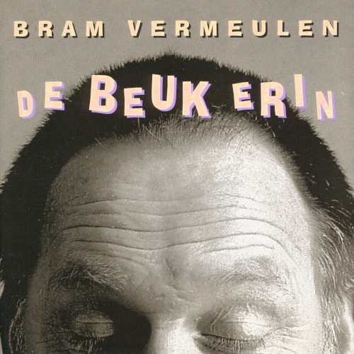 De beuk erin封面