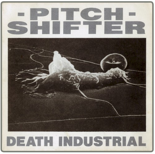 Death Industrial封面