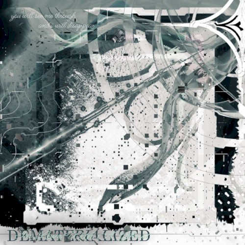 Dematerialized封面
