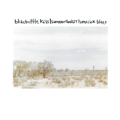 Somnambulist Homesick Blues封面