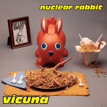 Vicuna封面