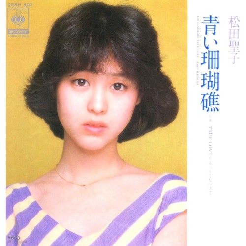 青い珊瑚礁封面