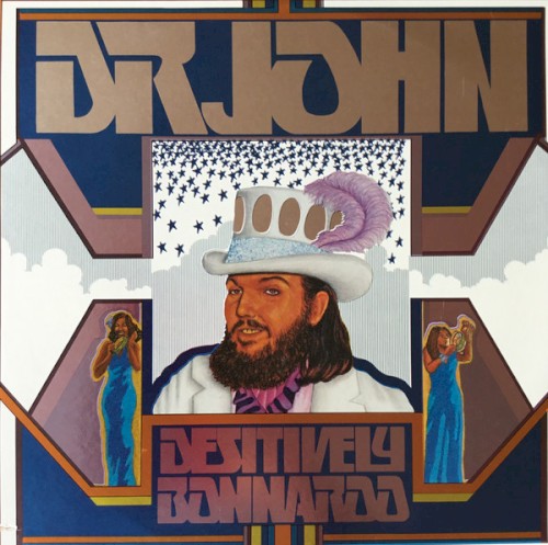 Desitively Bonnaroo封面