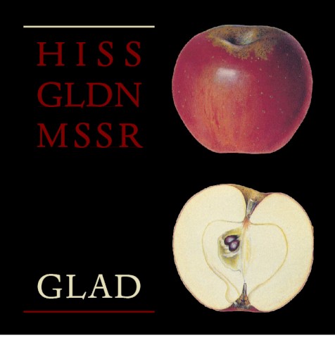 Glad封面