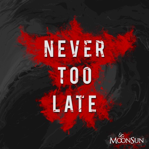 Never too late封面