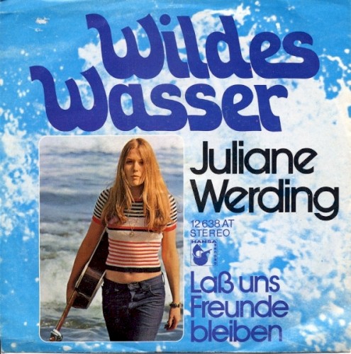 Wildes Wasser封面