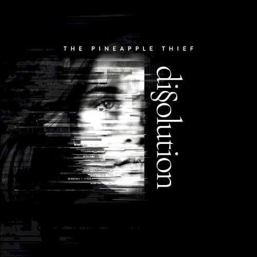 Dissolution封面