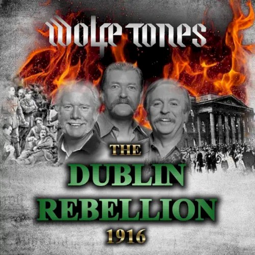The Dublin Rebellion 1916封面