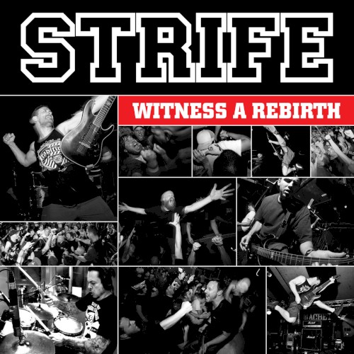 Witness a Rebirth封面