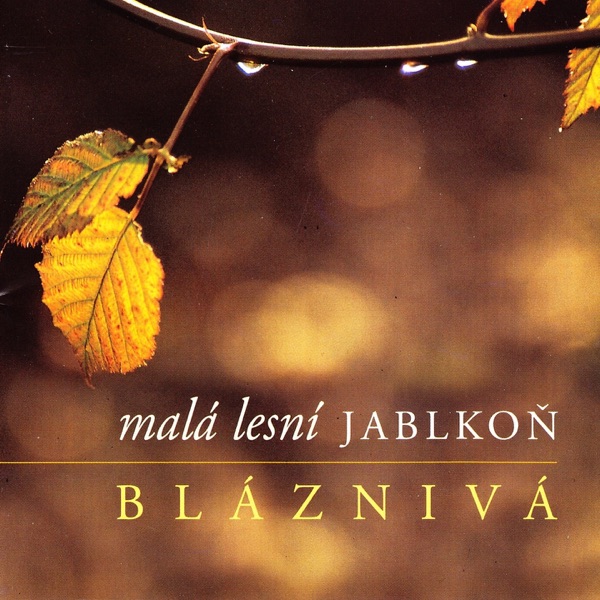 Bláznivá封面
