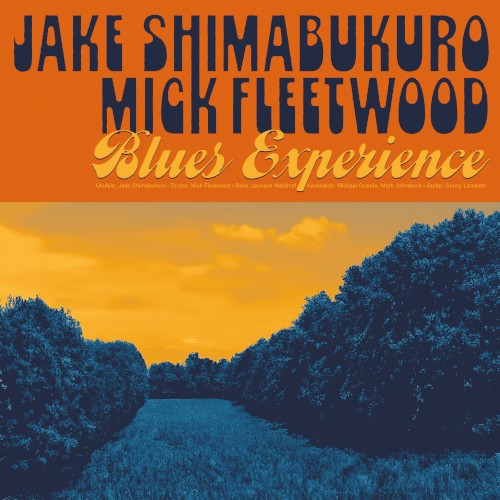 Blues Experience封面