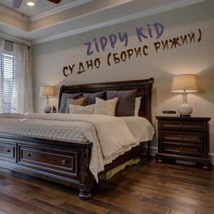 Судно (Борис Рижий)封面