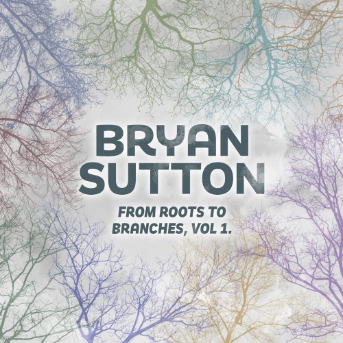 From Roots to Branches (Vol. 1)封面