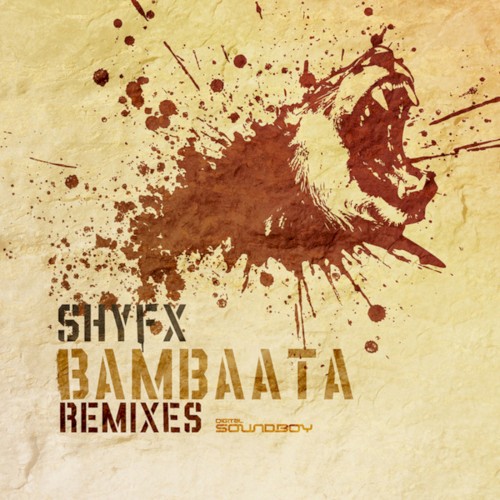 Bambaata (Remixes)封面
