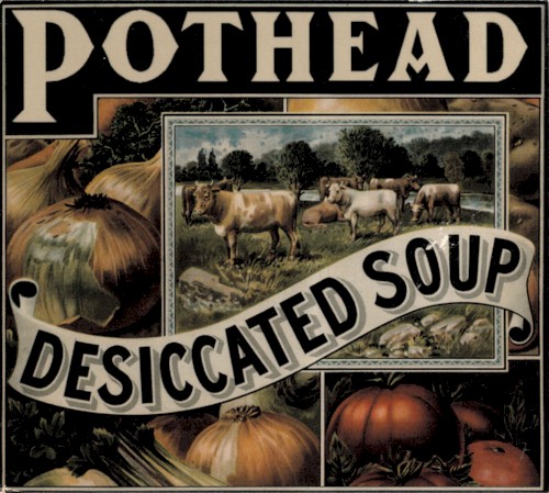 Desiccated Soup封面