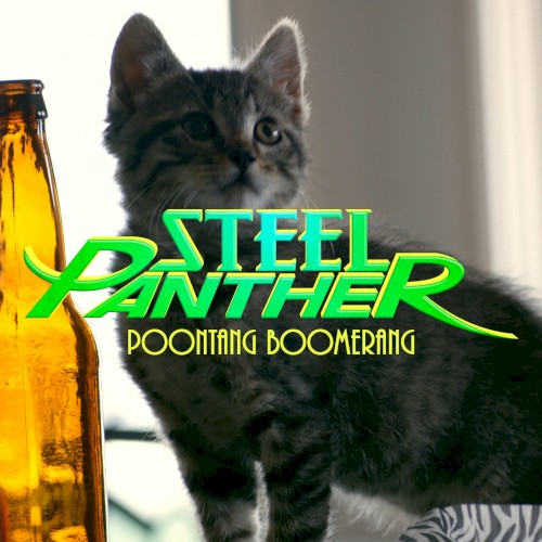 Poontang Boomerang封面