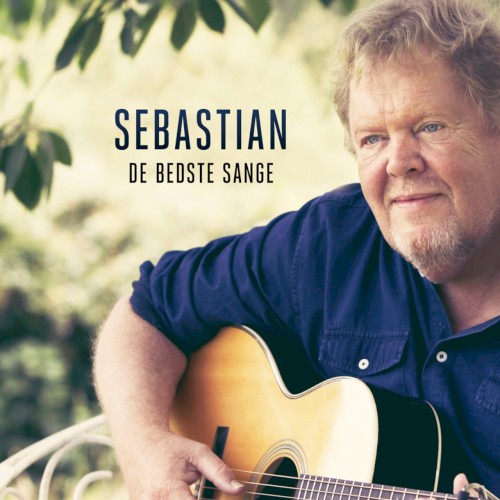 De bedste sange封面