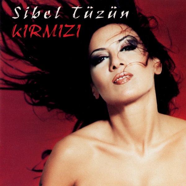 Kırmızı封面