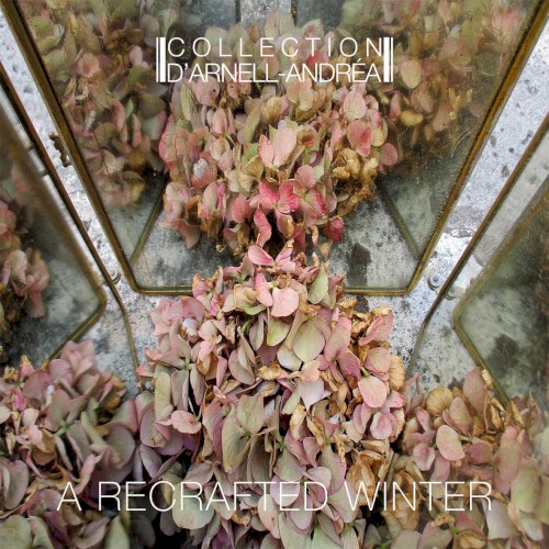 A Recrafted Winter封面