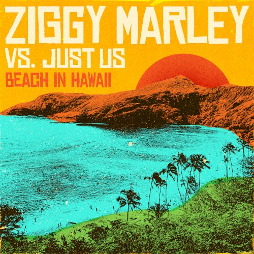 Beach in Hawaii封面