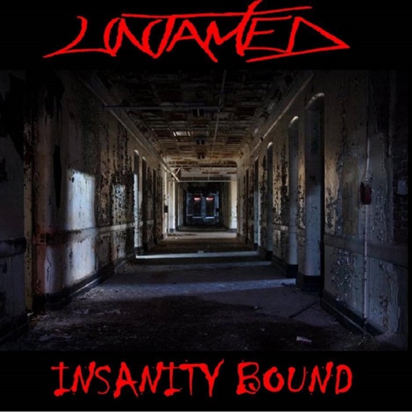 Insanity Bound封面