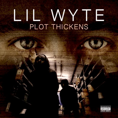 Plot Thickens封面