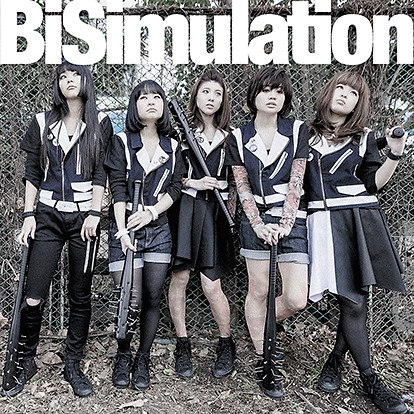 BiSimulation封面