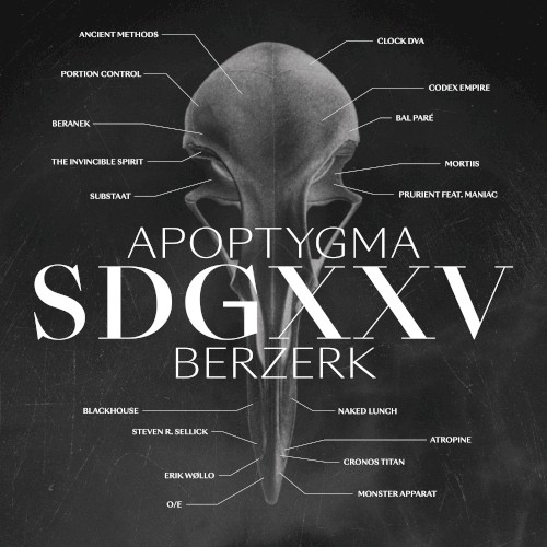 SDGXXV封面