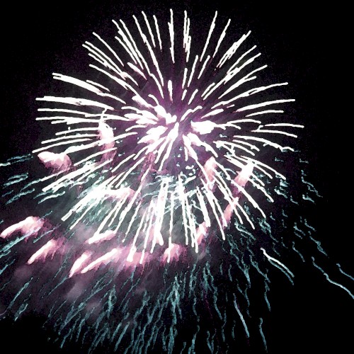 Statusbericht 2018封面
