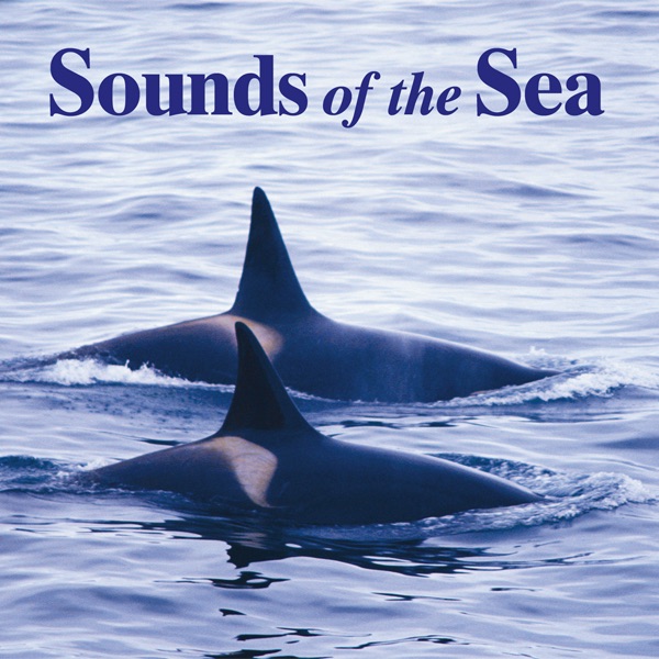 Sounds of the Sea封面