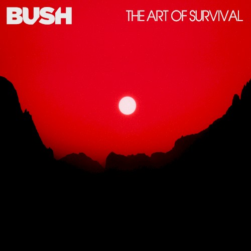 The Art of Survival封面
