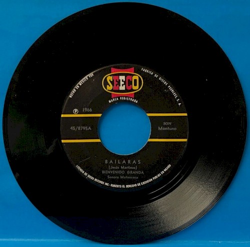 Bailarás / Cuando no estás封面