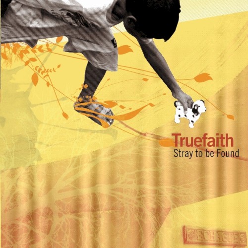 Stray to Be Found封面