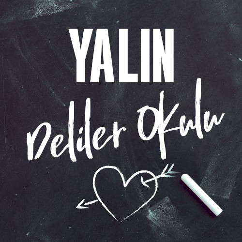 Deliler Okulu封面