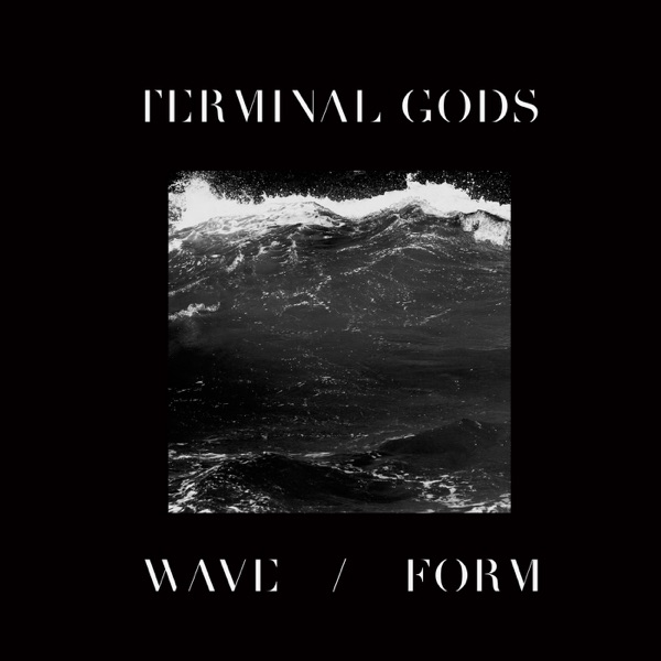 Wave / Form封面