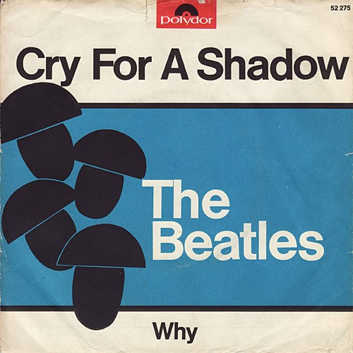 Cry for a Shadow封面