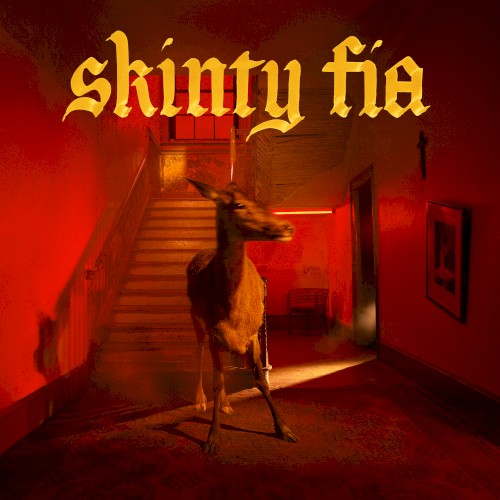 Skinty Fia封面