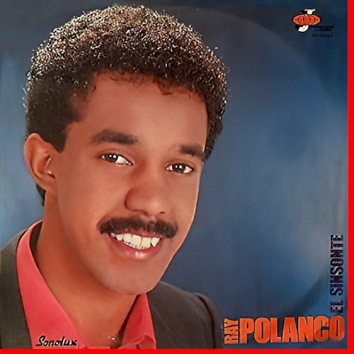 El sinsonte封面