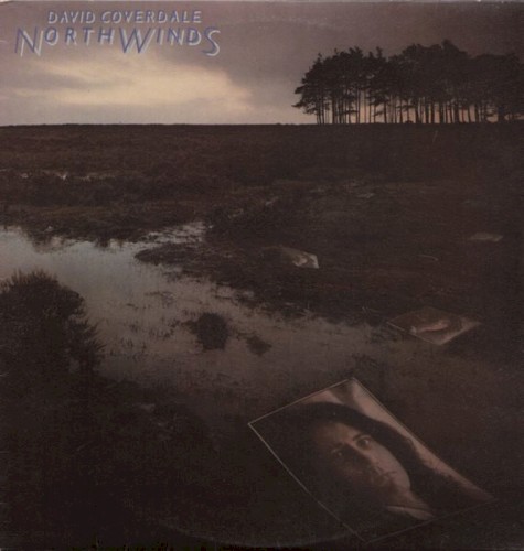 Northwinds封面