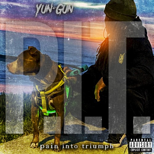P.I.T. Pain Into Triumph封面