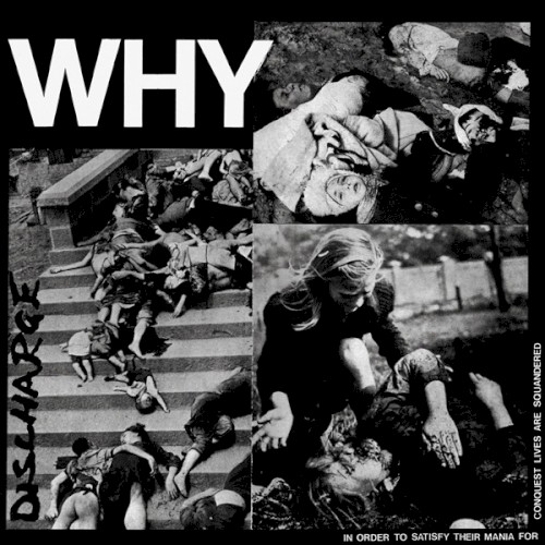 Why封面