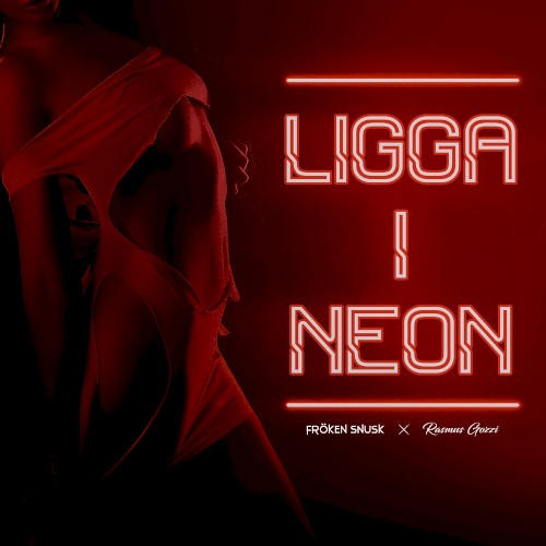 LIGGA I NEON封面