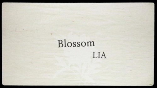 Blossom封面